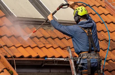Démoussage et hydrofuge de toiture à Dumes